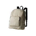 4241ナイロンパッカブル デイバッグ　NPD-350